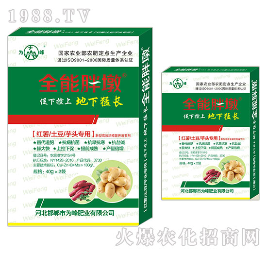 紅薯、土豆、芋頭專用-全能胖墩-為峰