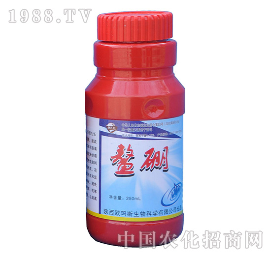 鰲硼-歐瑪斯