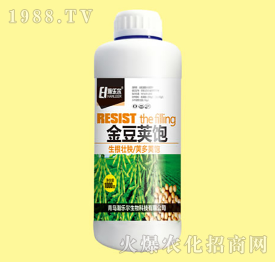 金豆莢飽-瀚樂(lè)爾