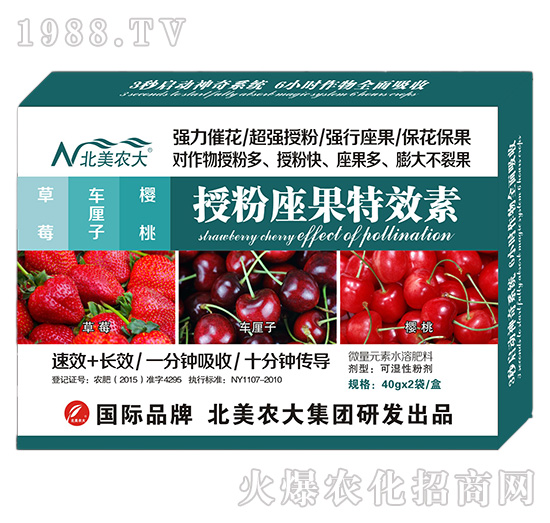 草莓、車?yán)遄?、櫻桃授粉座果特效?北美農(nóng)大