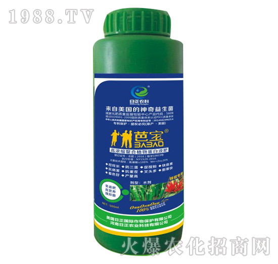 辣椒專(zhuān)用-高濃縮螯合植物蛋白液肥-日正農(nóng)科