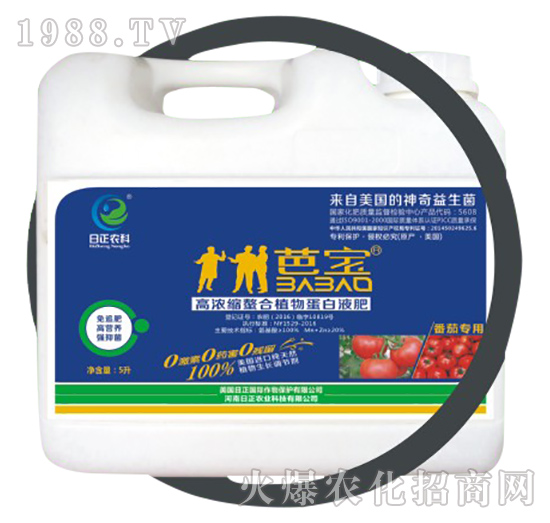 番茄專用（桶）-高濃縮螯合植物蛋白液肥-日正農科