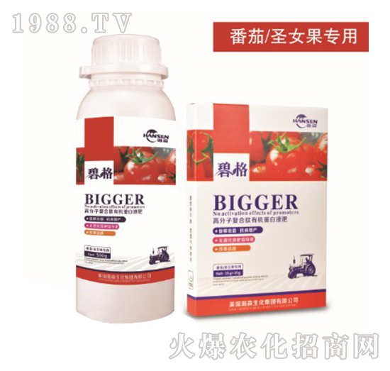 番茄圣女果專用高分子復合肽有機蛋白液肥-碧格-瀚森農業(yè)