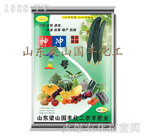 神沖1號(hào)-梁山國豐