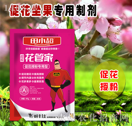 促花授粉專用型-花管家-田小超