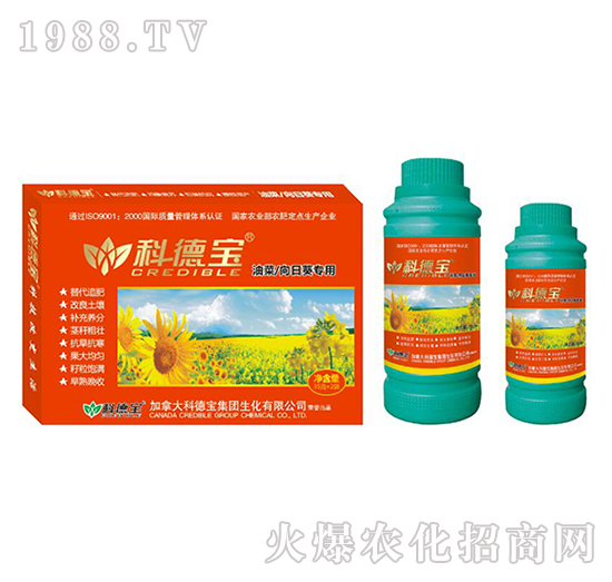 油菜、向日葵專用營(yíng)養(yǎng)增產(chǎn)調(diào)理劑-科德寶