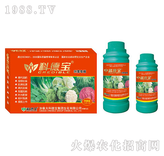 葉菜專(zhuān)用營(yíng)養(yǎng)增產(chǎn)調(diào)理劑-科德寶
