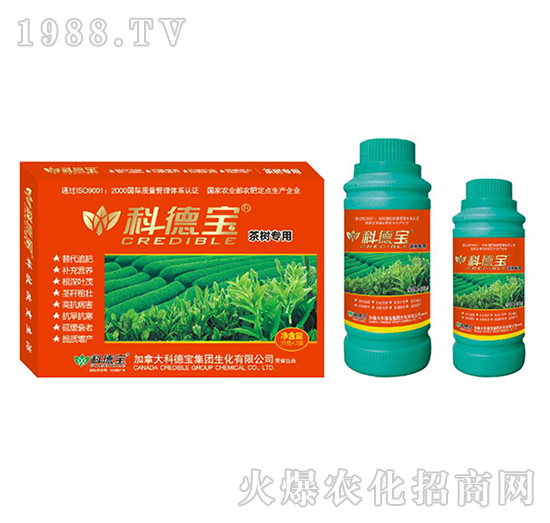 茶樹專用營(yíng)養(yǎng)增產(chǎn)調(diào)理劑-科德寶