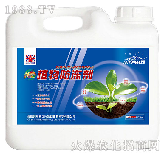植物防凍劑（桶裝）-奧爾森