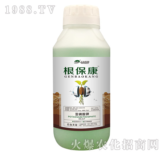 1000g根保康-云臺大化