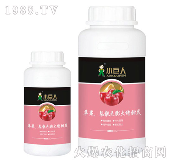 蘋果、梨靚色膨大增甜靈調(diào)節(jié)劑-小巨人