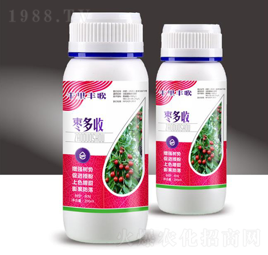 棗多收-千里豐歌-穗滿(mǎn)倉(cāng)