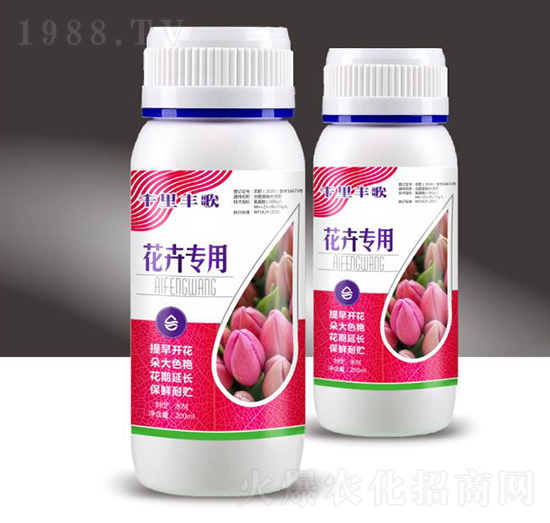 花卉專(zhuān)用-千里豐歌-穗滿倉(cāng)