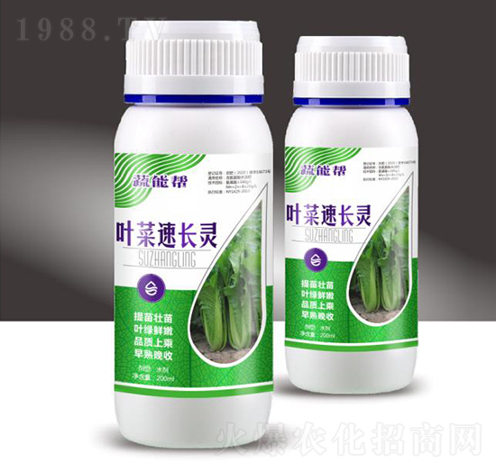 葉菜速長靈-蔬能幫-穗滿倉