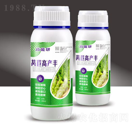 萵苣高產(chǎn)豐-蔬能幫-穗滿倉(cāng)