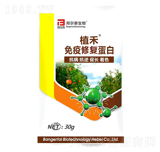 免疫修復(fù)蛋白-植禾-邦爾泰