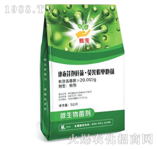 地衣芽孢桿菌·熒光假單胞菌-蛻變-柯易植保