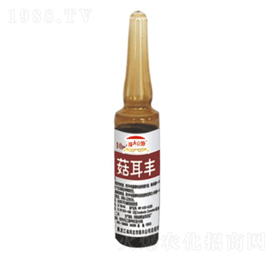 食用菌專用菇耳豐-頂天立地-恒綠植物
