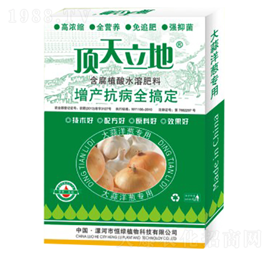 大蒜洋蔥專(zhuān)用含腐植酸水溶肥料-頂天立地-恒綠植物