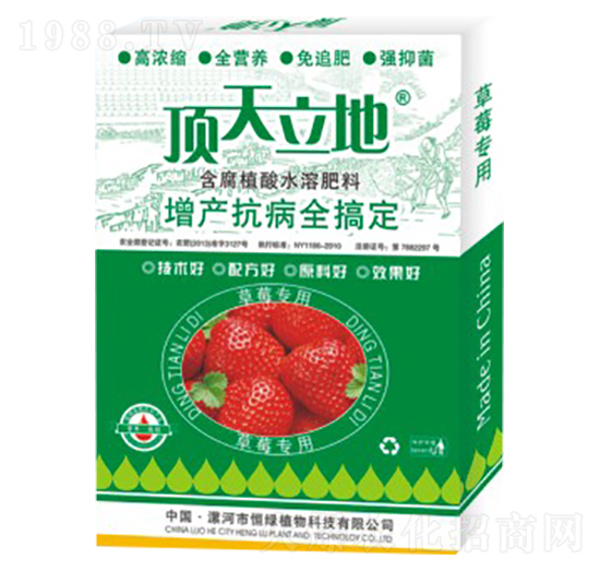 草莓專用含腐植酸水溶肥料-頂天立地-恒綠植物