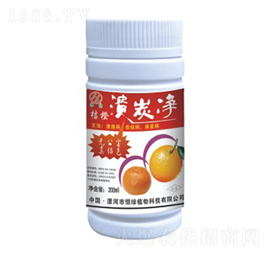 桔橙潰炭?jī)?恒綠植物