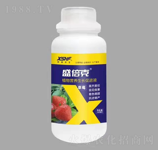 草莓專(zhuān)用植物營(yíng)養(yǎng)生長(zhǎng)促進(jìn)液-盛倍克-新盛禾豐