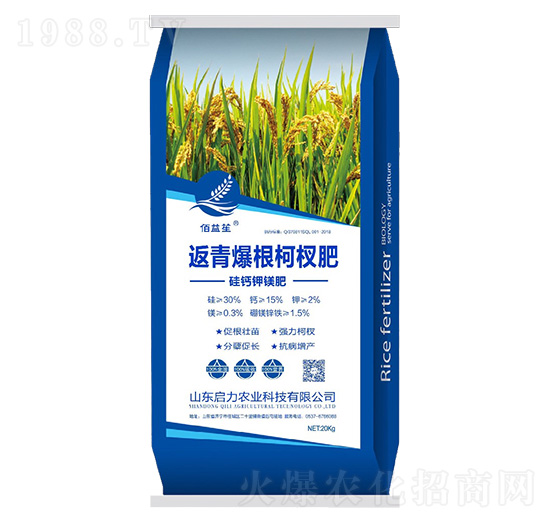 硅鈣鉀鎂中微量元素肥-返青爆根柯權肥-啟力農(nóng)業(yè)