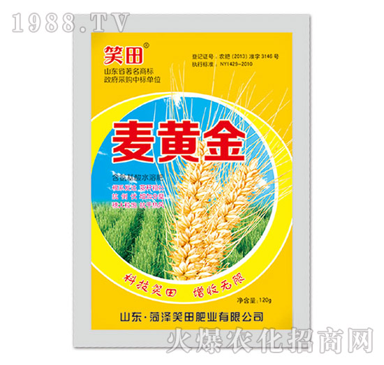 麥黃金-笑田
