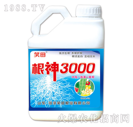 根神3000-笑田