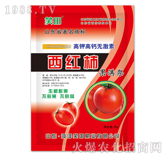 西紅柿果滿(mǎn)架-笑田