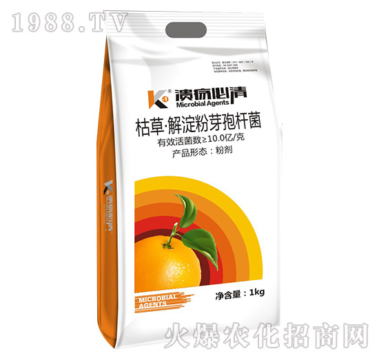 枯草·解淀粉芽孢桿菌-潰瘍必清-碩達