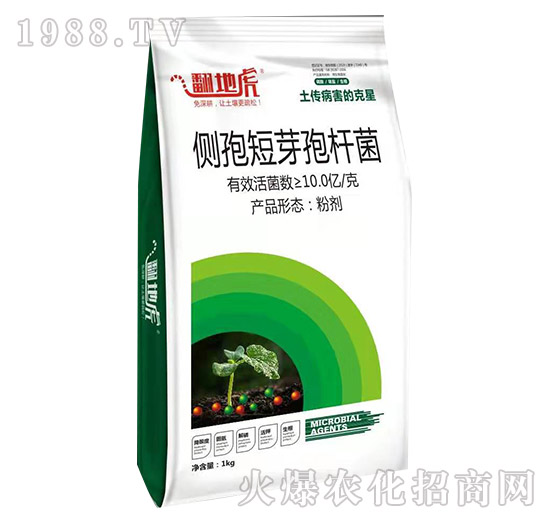 側(cè)孢短芽孢桿菌（1kg）-翻地虎-碩達(dá)