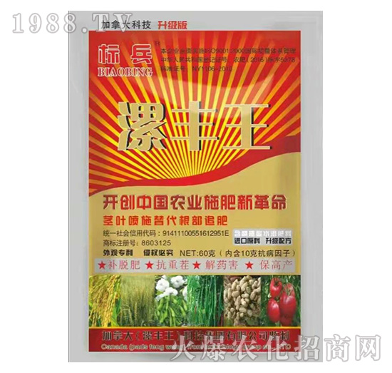 含腐植酸水溶肥料-標兵-漯豐王