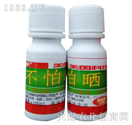 不怕曬-漯豐王