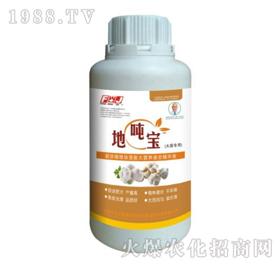 大蒜專用根塊莖膨大營養(yǎng)液態(tài)精華液-地噸寶-豐萬稼