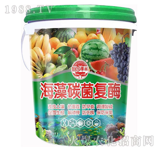 海藻碳菌復(fù)酶-田園季豐-大豐肥業(yè)