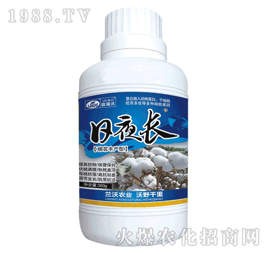 日夜長（棉花豐產(chǎn)型）-蘭沃農(nóng)業(yè)