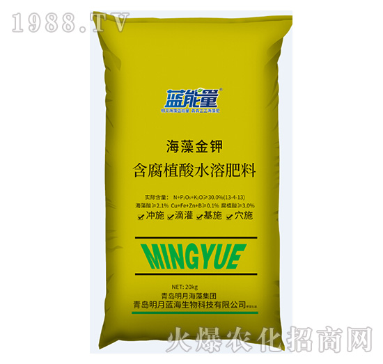 含腐植酸水溶肥料-海藻金鉀-藍能量