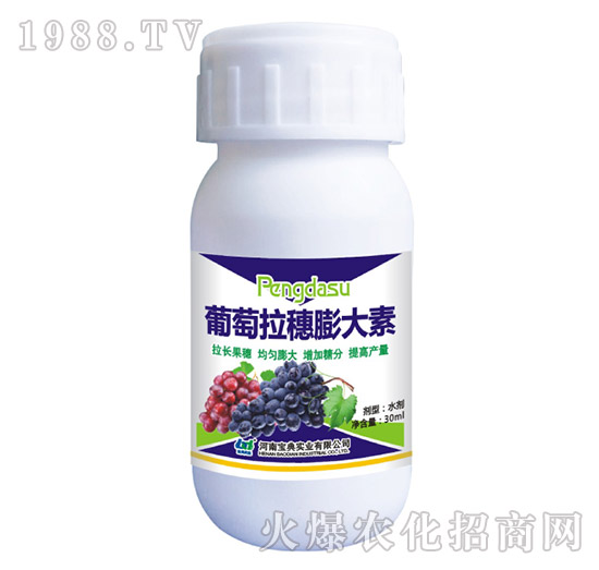 葡萄拉穗膨大素-寶典實業(yè)