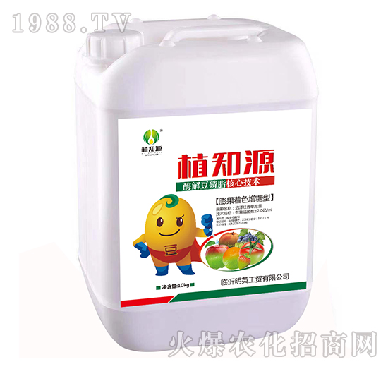 膨果著色增糖型-植知源-明英工貿