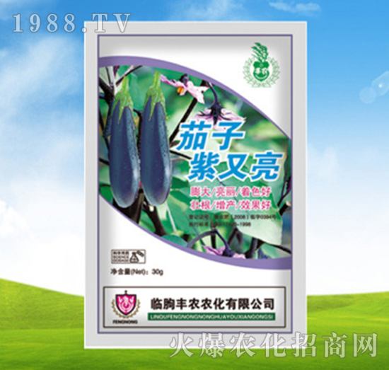 茄子紫又亮-豐農(nóng)農(nóng)化