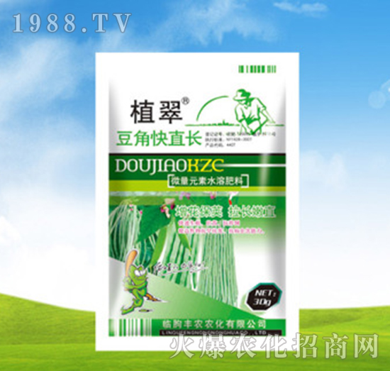 豆角快直長-植翠-豐農(nóng)農(nóng)化