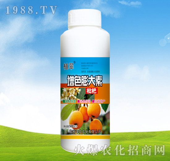 枇杷增色膨大素-植翠-豐農農化