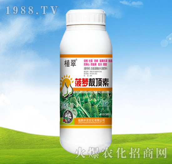 菠蘿靚頂素-植翠-豐農農化