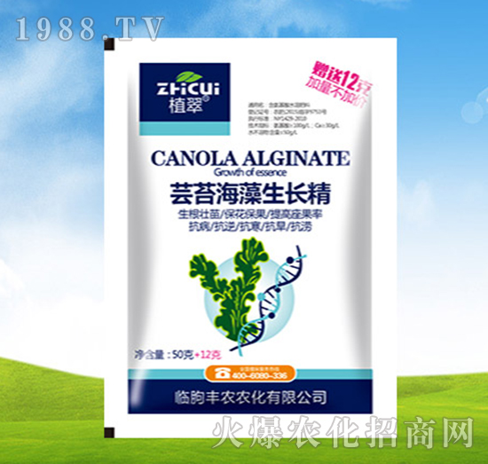 蕓苔海藻生長(zhǎng)精-植翠-豐農(nóng)農(nóng)化