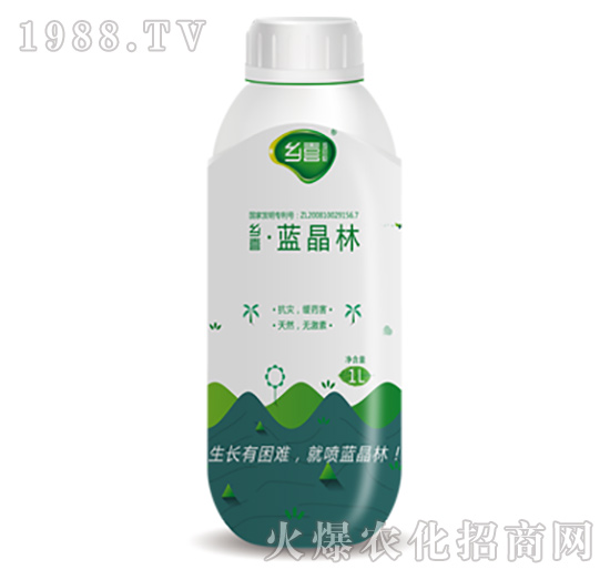 鄉(xiāng)喜·藍(lán)晶林-東莞一翔