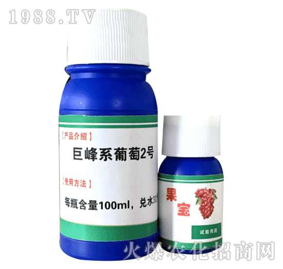 巨峰系葡萄2號-果寶-彭邦生物