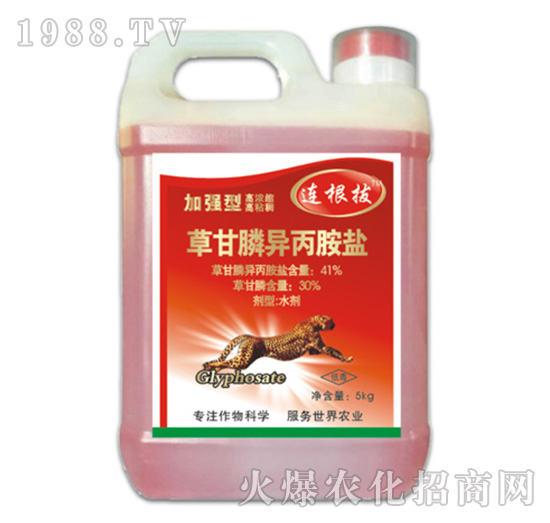 41%草甘膦異丙胺鹽（加強(qiáng)型）-連根拔-拜迪斯