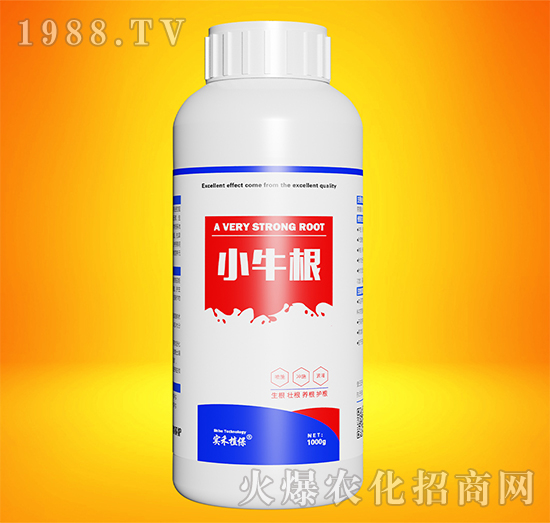 小牛根-實禾