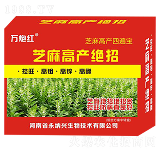 芝麻高產(chǎn)絕招-萬(wàn)炮紅-永納興